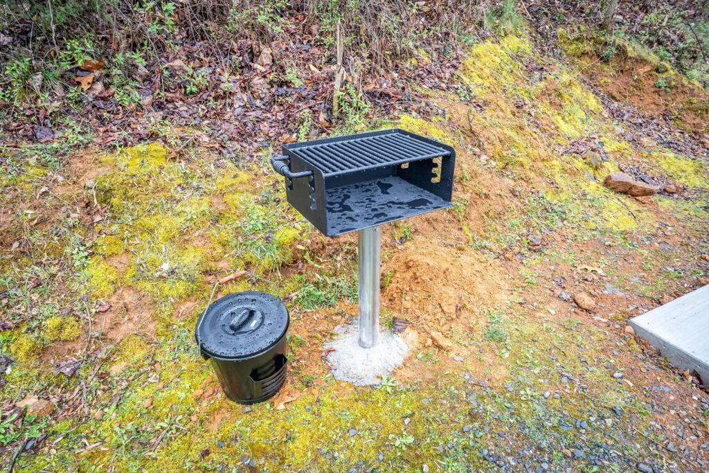 Mountain Views, Hot Tub, Firepit, Dog Friendly, Ev Connector * Stanley